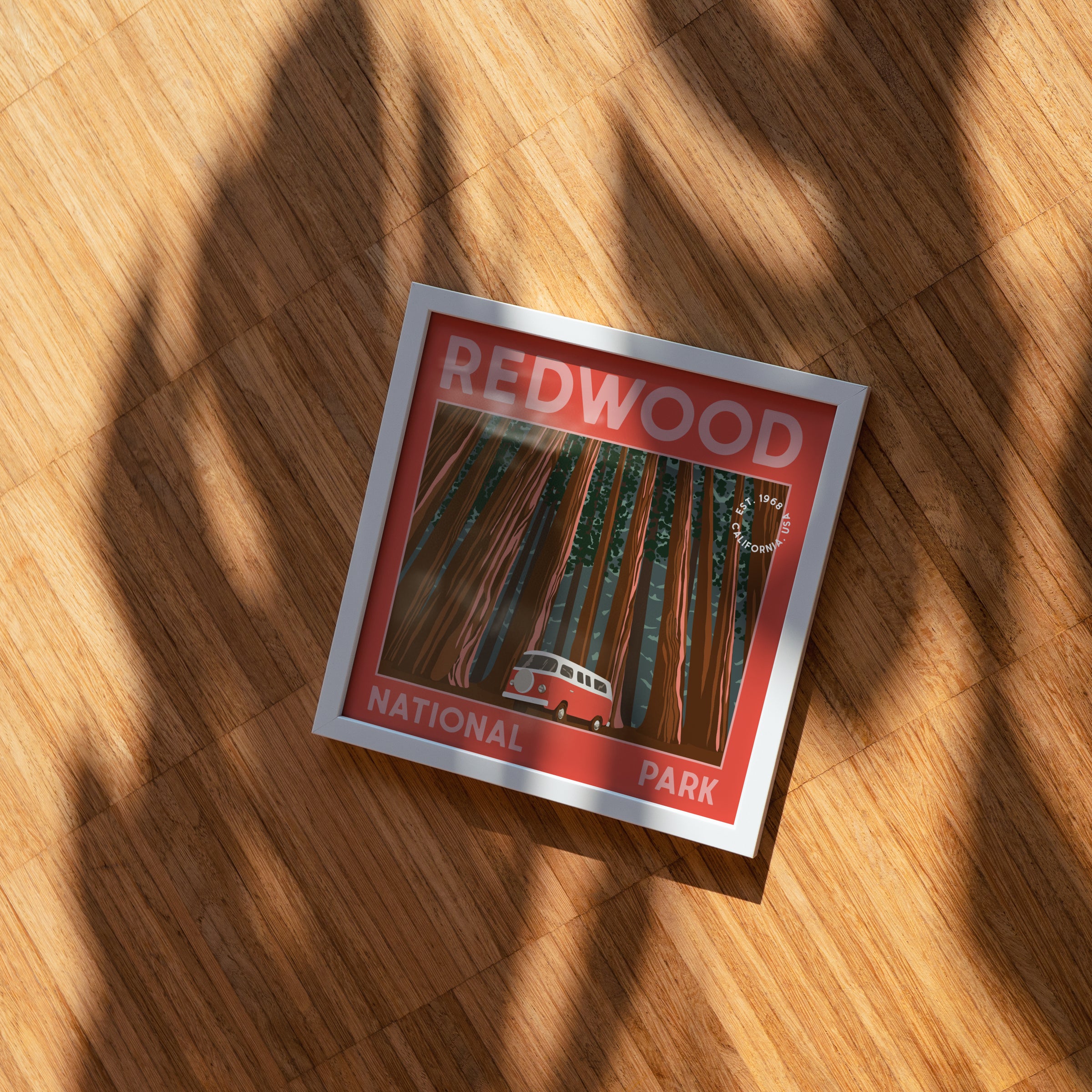 Redwood National Park Print (Digital Download)